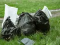 Workmen's bags of garden waste, including branches, sit on the grass. Czy można wywieźć gałęzie do lasu? This is not the right place.