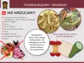 Grafika informuje o tym, co wrzucać do brązowego pojemnika na bioodpady. Pokazuje resztki warzyw, owoców i inne odpady organiczne, które ulegają biodegradacji.
