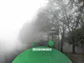 Mglisty krajobraz miejski z drzewami i znakiem Arciszewskiego.