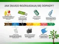 Zaskakujący czas rozkładu odpadów: Co możesz zrobić?