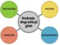 Cichy zabójca gleby: Skąd toksyny i jak chronić Twoją ziemię?