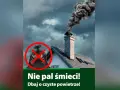 Pali śmieci? Gdzie dzwonić i jak skutecznie walczyć o czyste powietrze
