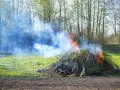 Ogień i dym z palonych gałęzi na podwórku. Uważaj, bo to może być mandat za palenie śmieci.