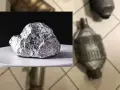 Błyszcząca bryła platyny, kluczowego składnika katalizatorów samochodowych, na białym talerzyku. Obok widoczne zużyte katalizatory.