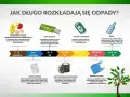 Guma do żucia rozkłada się przez kilka lat, zanieczyszczając glebę.