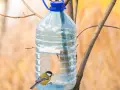 Twoje śmieci = ptasi skarb! Karmnik z recyklingu DIY krok po kroku
