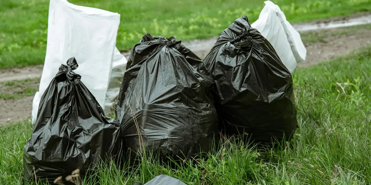 Workmen's bags of garden waste, including branches, sit on the grass. Czy można wywieźć gałęzie do lasu? This is not the right place.