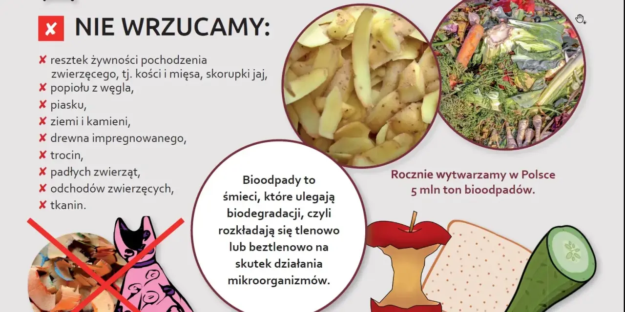 Grafika informuje o tym, co wrzucać do brązowego pojemnika na bioodpady. Pokazuje resztki warzyw, owoców i inne odpady organiczne, które ulegają biodegradacji.