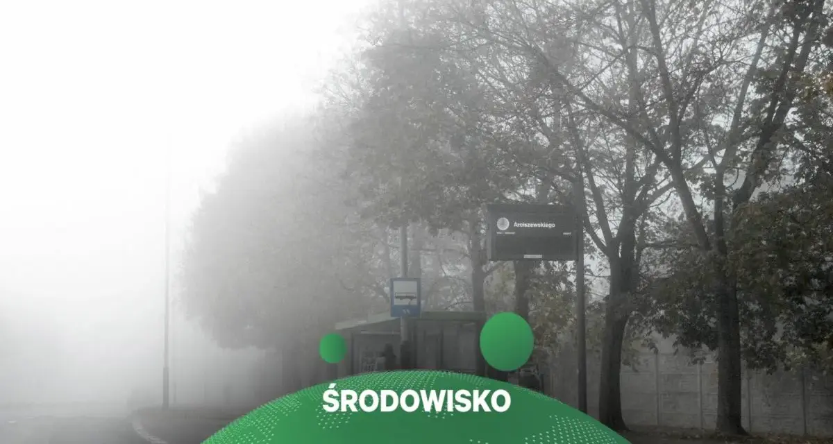 Mglisty krajobraz miejski z drzewami i znakiem Arciszewskiego.