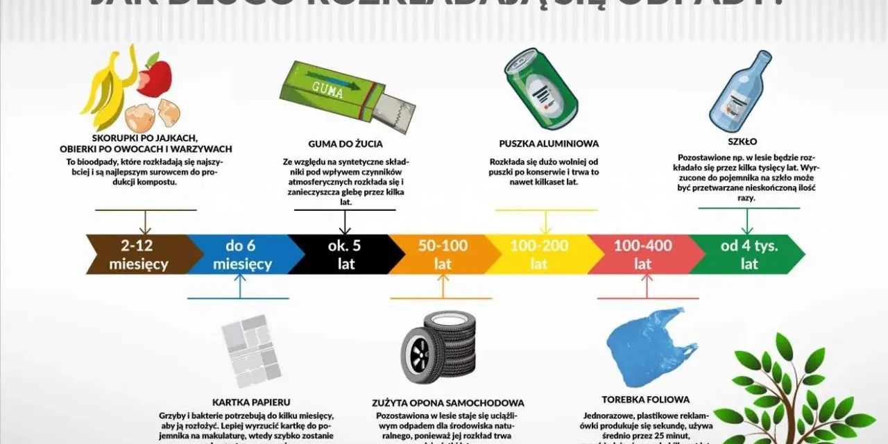 Zaskakujący czas rozkładu odpadów: Co możesz zrobić?