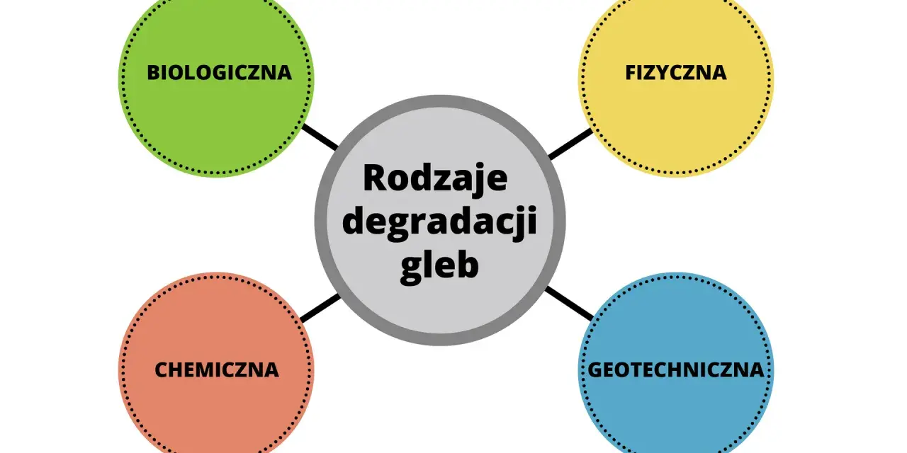 Cichy zabójca gleby: Skąd toksyny i jak chronić Twoją ziemię?