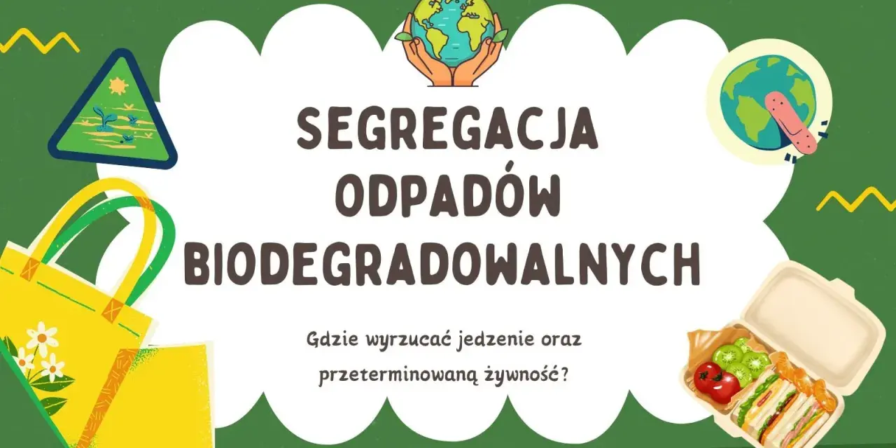 Jak segregować resztki jedzenia? BIO, zmieszane i trudne odpady