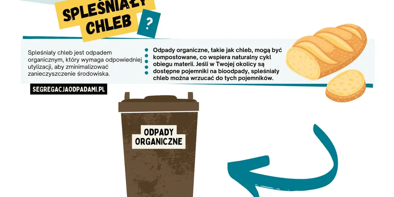 Spleśniały chleb to odpad organiczny. Gdzie wyrzucić spleśniały chleb? Do pojemnika na bioodpady, jeśli jest dostępny.