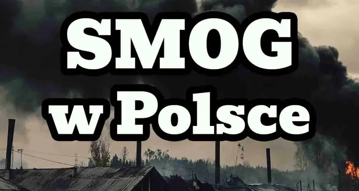 Kiedy koniec smogu w Polsce? Realne prognozy i daty