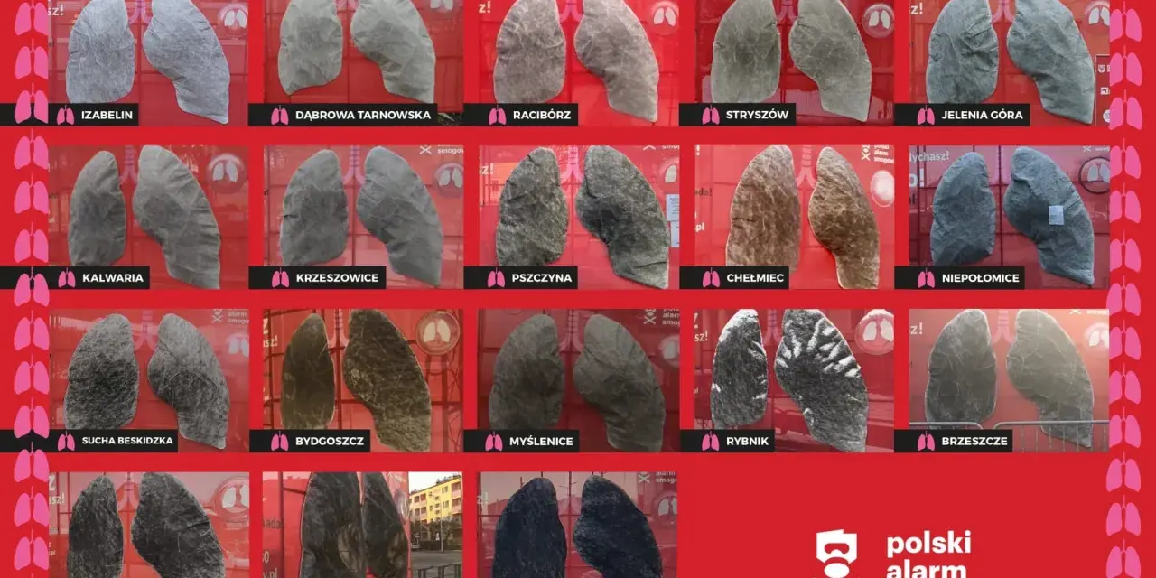 Smog czy mgła? Poznaj różnice i chroń swoje płuca!