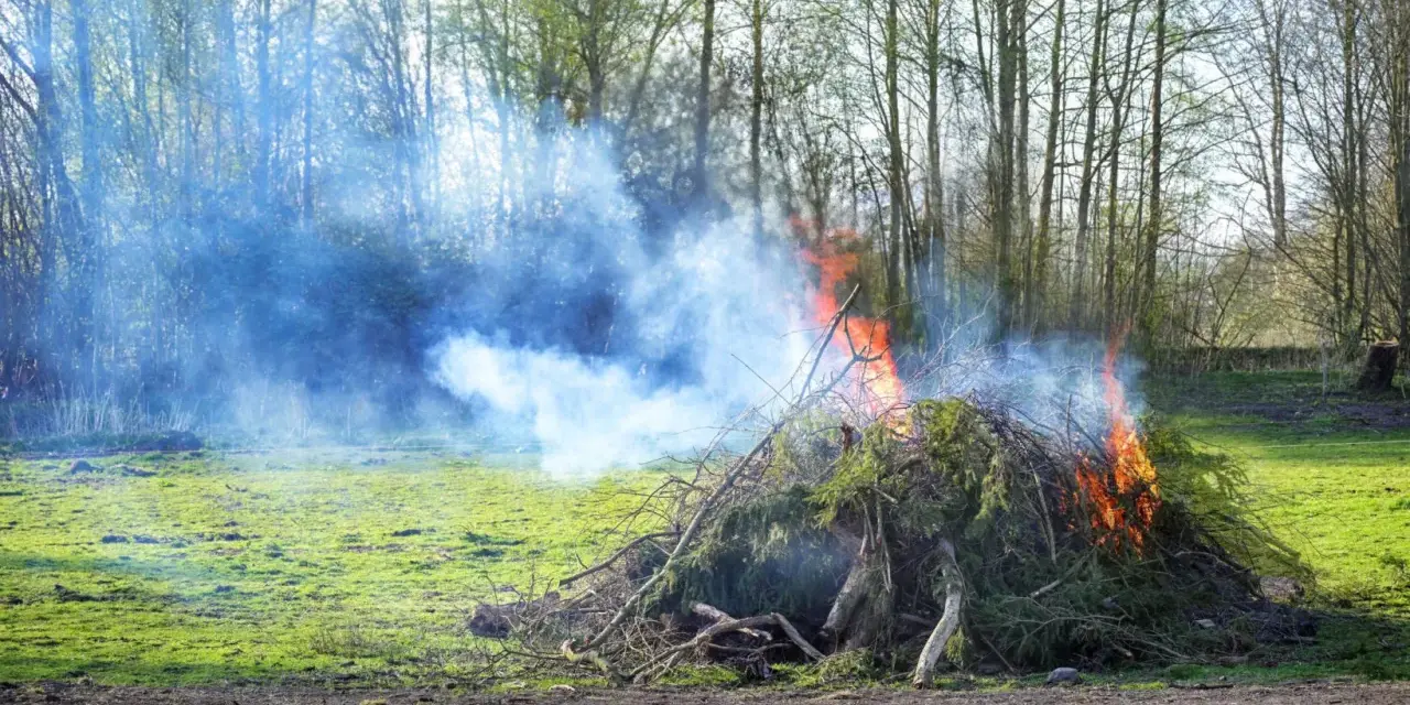 Ogień i dym z palonych gałęzi na podwórku. Uważaj, bo to może być mandat za palenie śmieci.