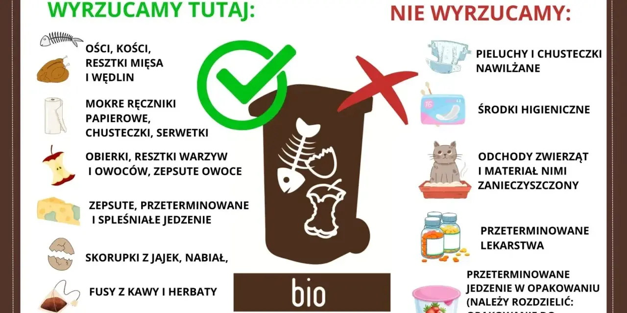 Gdzie wyrzucać resztki jedzenia? Do bio trafiają kości, obierki, fusy, zepsute jedzenie. Nie wyrzucaj pieluch, środków higienicznych ani odchodów zwierząt.
