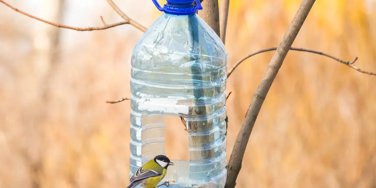 Twoje śmieci = ptasi skarb! Karmnik z recyklingu DIY krok po kroku