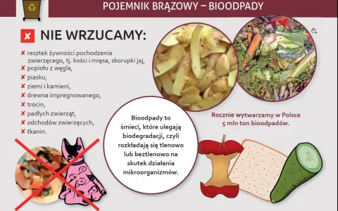 Grafika informuje o tym, co wrzucać do brązowego pojemnika na bioodpady. Pokazuje resztki warzyw, owoców i inne odpady organiczne, które ulegają biodegradacji.
