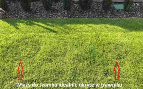 Niewidzialna oczyszczalnia: Ukryj ją, by ogród zachwycał!