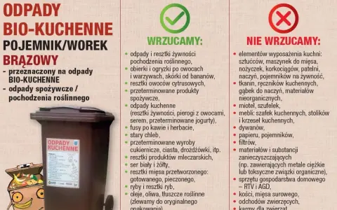 Mała kuchnia: Segregacja 5 frakcji? Sprytne triki na odpady BIO i więcej!