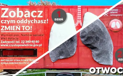 Smog a płuca: Jak zanieczyszczenia niszczą Twój układ oddechowy?