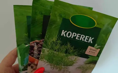 Torebka po przyprawach: żółty czy czarny kosz? Rozwiej wątpliwości!