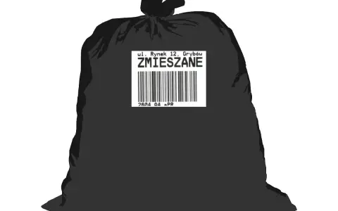 Śmieci zmieszane: czarny worek. Co wrzucać, by nie płacić kar?