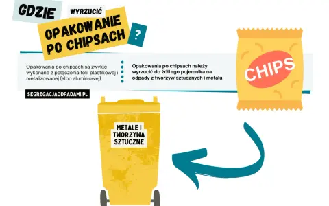 Opakowanie po budyniu: Czarny czy żółty kosz? Rozwiewam wątpliwości!