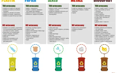 Segregacja odpadów: Co naprawdę podlega recyklingowi w Polsce?