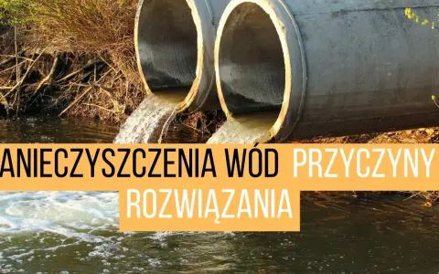 Jakie są zanieczyszczenia wody? Rodzaje, źródła, skutki i nowe zagrożenia