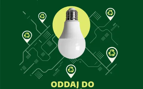 Gdzie wyrzucić żarówki? Segreguj dobrze, oszczędź 5000 zł!