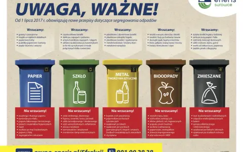 Sortowanie śmieci: JSSO, pułapki i kary. Co musisz wiedzieć?