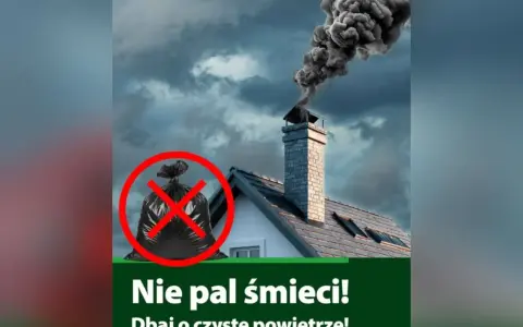 Pali śmieci? Gdzie dzwonić i jak skutecznie walczyć o czyste powietrze