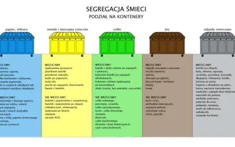 Segregacja śmieci w domu: Czy na pewno robisz to dobrze?