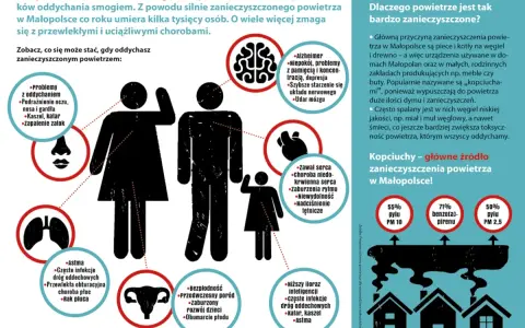 Ilustracja przedstawia sylwetki ludzi i narządów wewnętrznych z zaznaczonymi negatywnymi skutkami zanieczyszczenia powietrza.