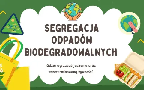 Jak segregować resztki jedzenia? BIO, zmieszane i trudne odpady