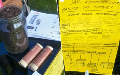 Gdynia jak segregować śmieci? Schemat podpowiada, jaki kompostownik wybrać, zależnie od miejsca i ilości odpadów.