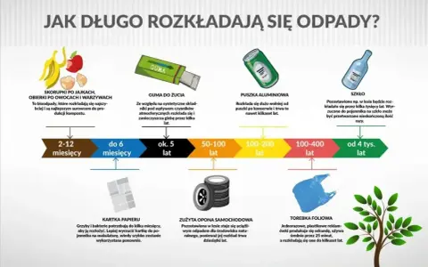 Jak długo rozkłada się papier? Kartka papieru potrzebuje kilku miesięcy na rozkład, ale lepiej ją poddać recyklingowi.