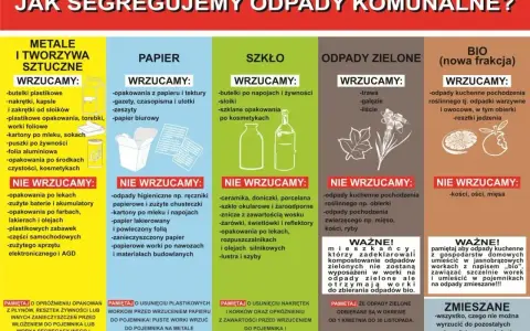 Jak segregujemy odpady? Wrzucamy butelki plastikowe, papier, szkło, odpady zielone i bio. Gdzie wyrzucić drewno? Nie ma go na liście, więc do zmieszanych.