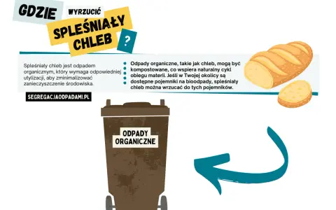 Spleśniały chleb to odpad organiczny. Gdzie wyrzucić spleśniały chleb? Do pojemnika na bioodpady, jeśli jest dostępny.