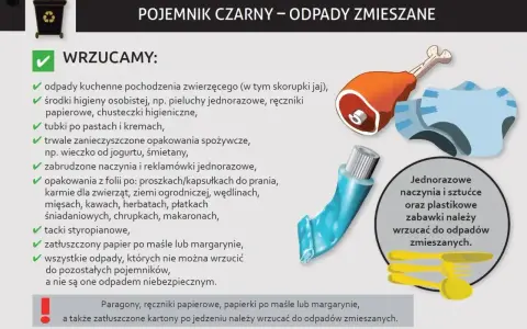 Czarny pojemnik na odpady zmieszane: resztki jedzenia, zużyte pieluchy, tubki po pastach, zatłuszczony papier.