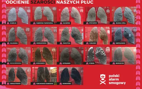 Smog czy mgła? Poznaj różnice i chroń swoje płuca!