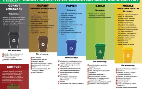 Zasady selektywnej zbiórki odpadów komunalnych: co wrzucać do poszczególnych pojemników, a czego unikać. Poznaj kody odpadów komunalnych.