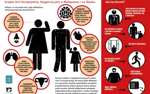 Smog: Cichy wróg Twojego zdrowia. Jak się chronić?