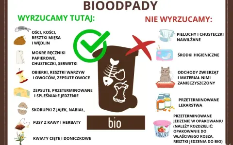 Gdzie wyrzucać resztki jedzenia? Do bio trafiają kości, obierki, fusy, zepsute jedzenie. Nie wyrzucaj pieluch, środków higienicznych ani odchodów zwierząt.