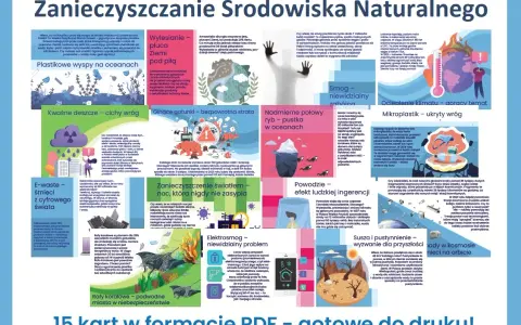 Zanieczyszczenia środowiska: Co możesz zrobić dla Polski?
