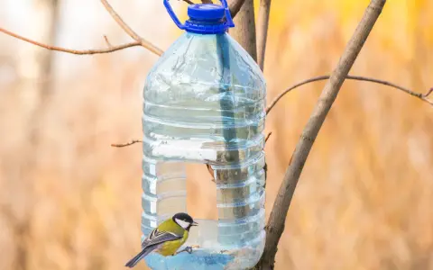 Twoje śmieci = ptasi skarb! Karmnik z recyklingu DIY krok po kroku
