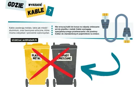 Kable to elektrośmieci? Sprawdź, gdzie oddać i ile zarobisz!