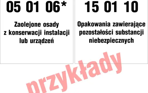 15 01 10: opakowania zawierające pozostałości substancji niebezpiecznych. Przykładem są zaolejone osady z konserwacji instalacji.